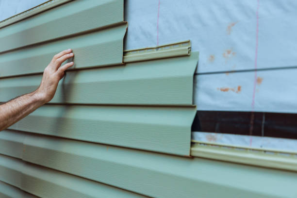 Best Wood Siding Installation  in Obion, TN